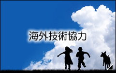 海外技術協力
