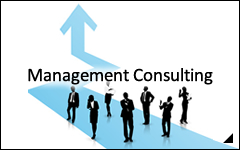 Management Consulting