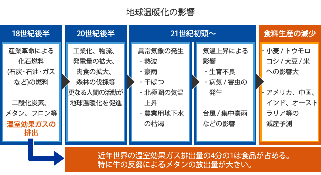 地球温暖化の影響