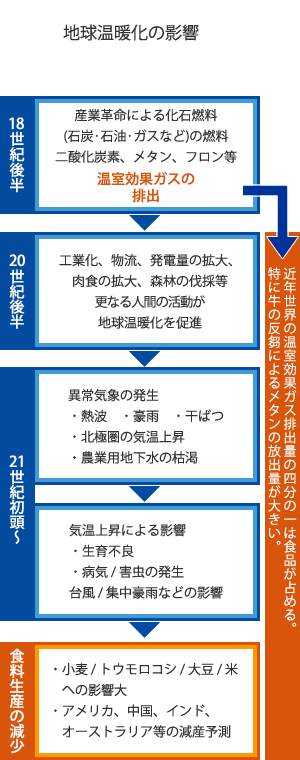 地球温暖化の影響